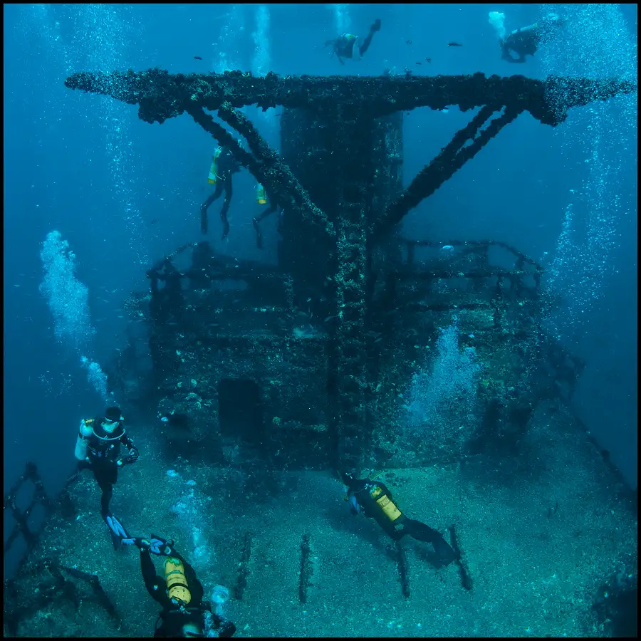 Sunshine Coast Diving