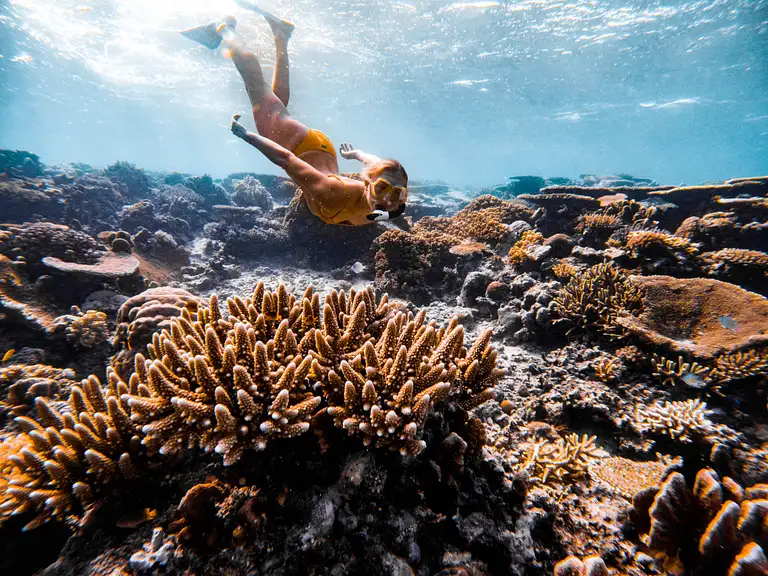 Travel on the Yasawa Flyer Through Fiji's Tropical Islands