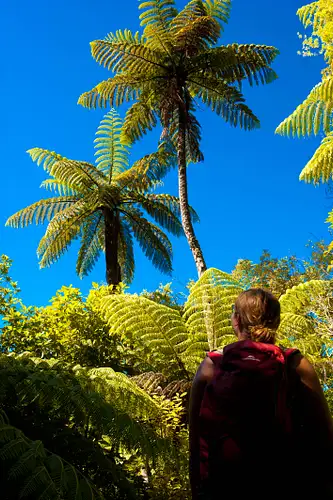 Motuara Island Scenic Reserve Views