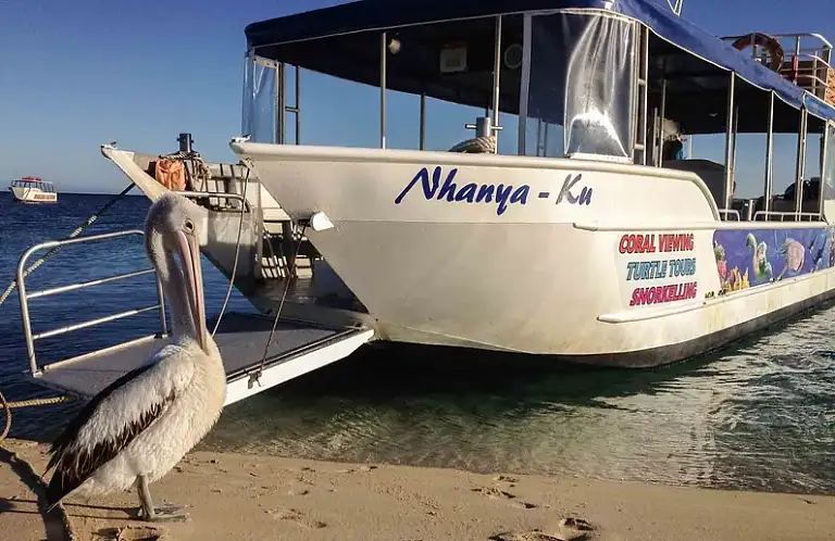 Glass bottom boat snorkel tour Coral Bay