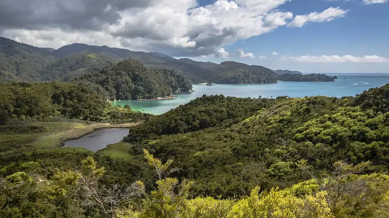 New Zealand South Island Tour Special