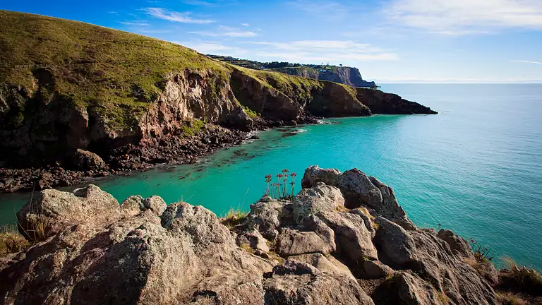 Christchurch Full-Day Guided Crater Rim Walk Discount