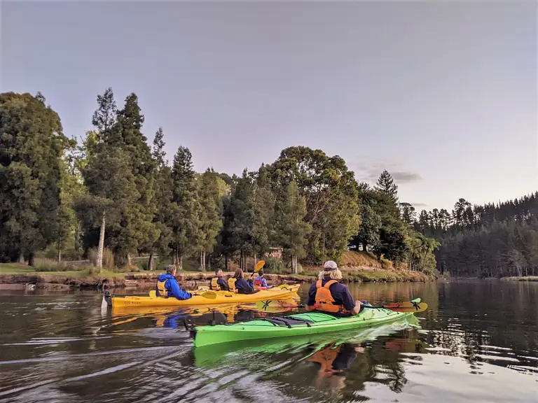 Glowworm tours