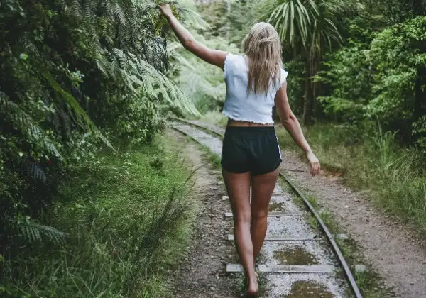 6 day northern highlights bus pass