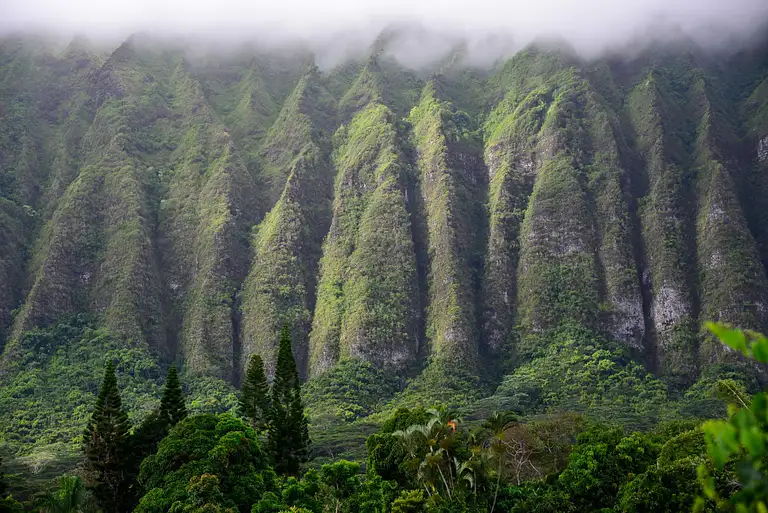 Oahu sunrise tour