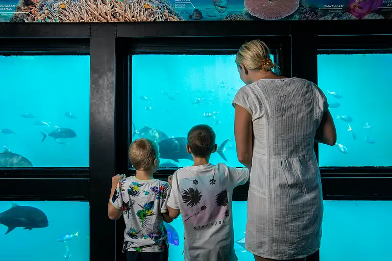 Great Barrier Reef Adventure