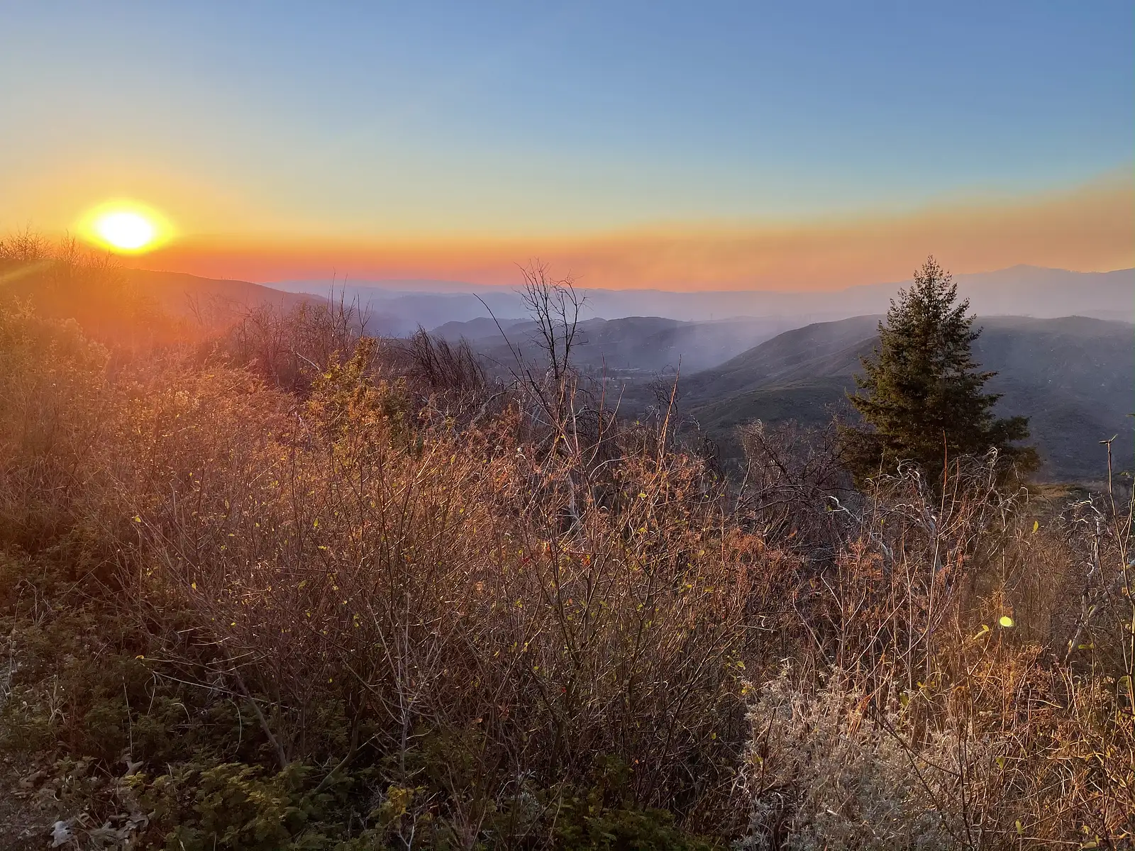 sierra sunset bbq and stargazing tour