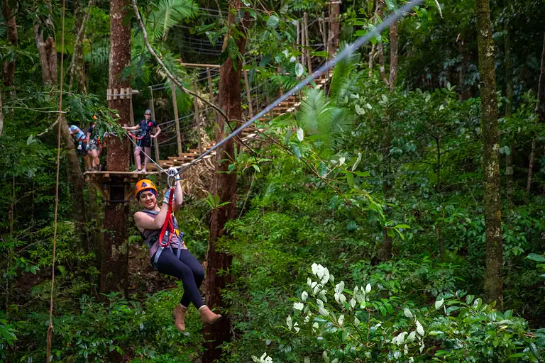 Zipline Tour Cape Tribulation Deals
