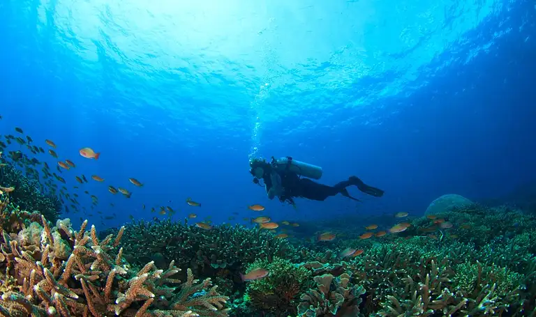 5 day learn to dive tour