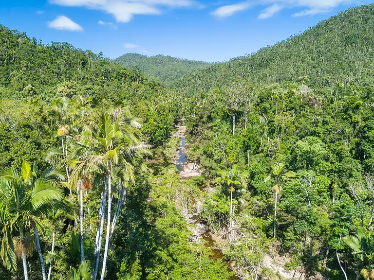Segway Rainforest Discovery Tour Discount