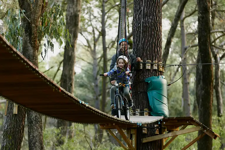 Forest Adventures entry