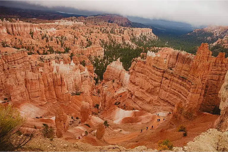 5 Day USA National Park Tour Deal