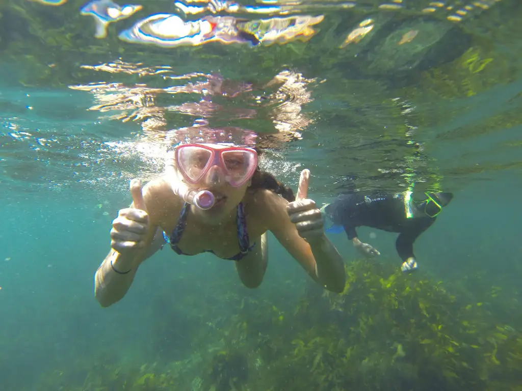 Cabbage-Bay-aquatic-reserve-tour