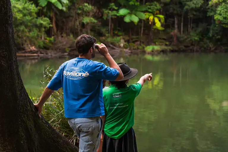 Eungella Platypus Encounter & Rainforest Tour