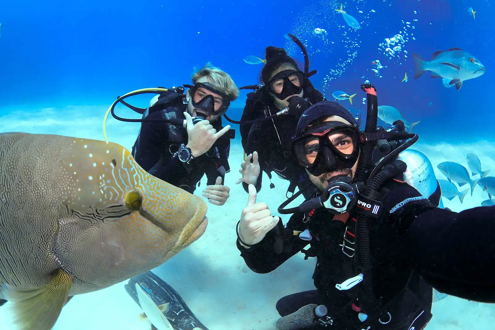 5 Day / 4 Night Liveaboard on OceanQuest
