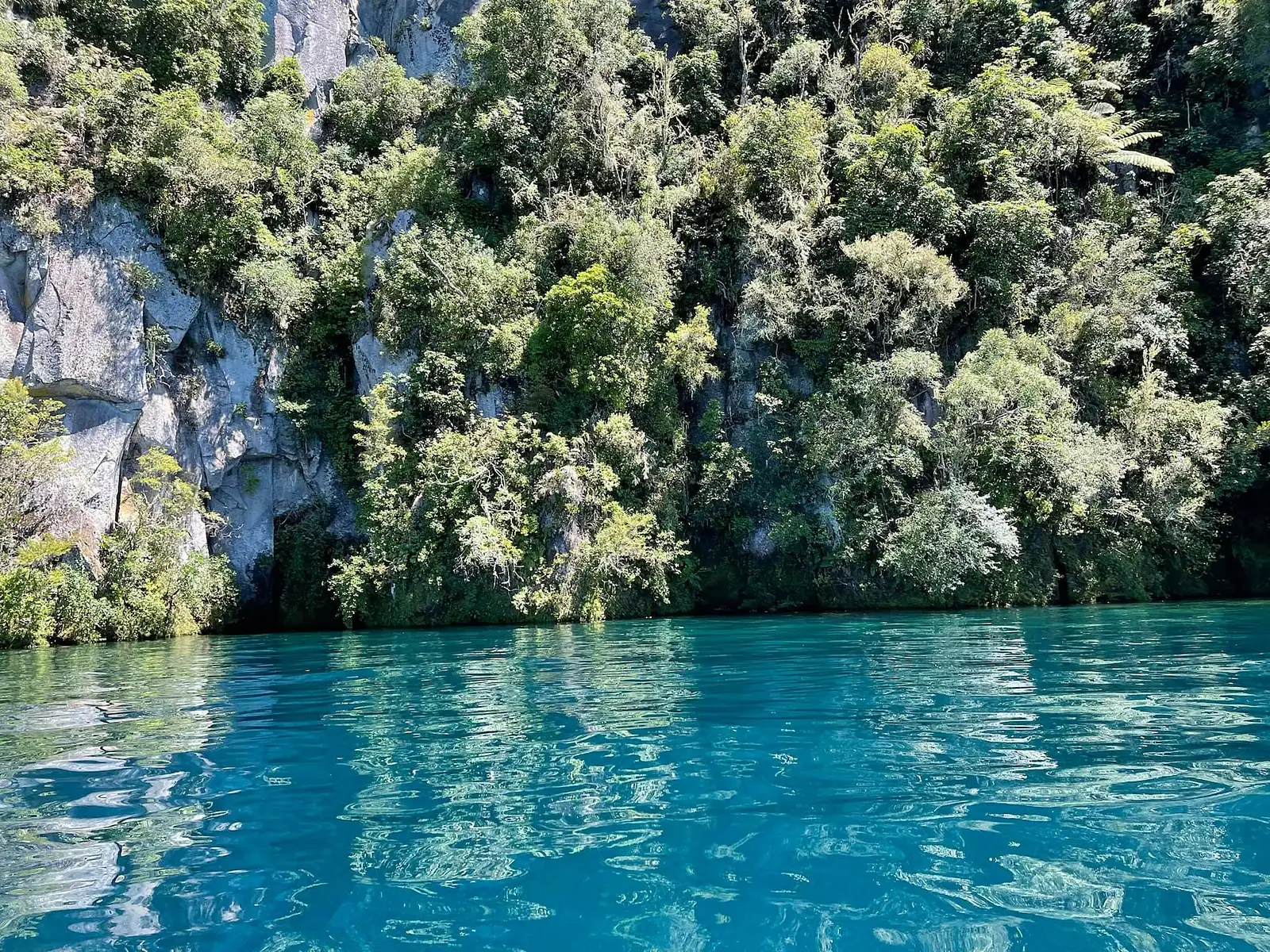 Lake Taupo Adventure Cruise Through Dramatic Cliffs and Ravines