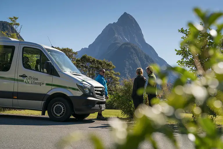 Milford Sound Coach, Cruise & Walk from Te Anau Deals