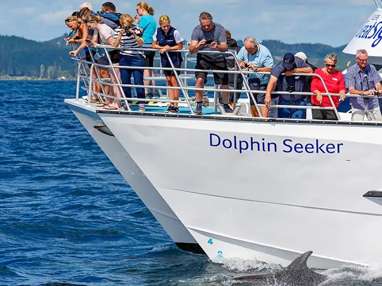 Guided Bay of Islands cruise