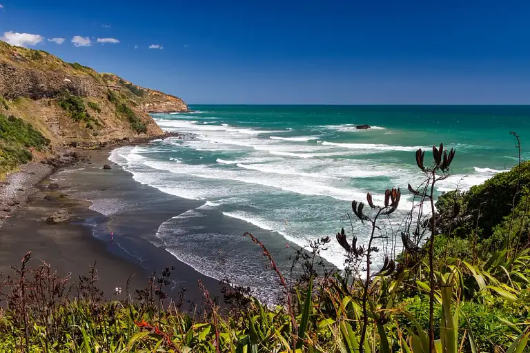 Muriwai Beach & Gannet Eco Tour Discount