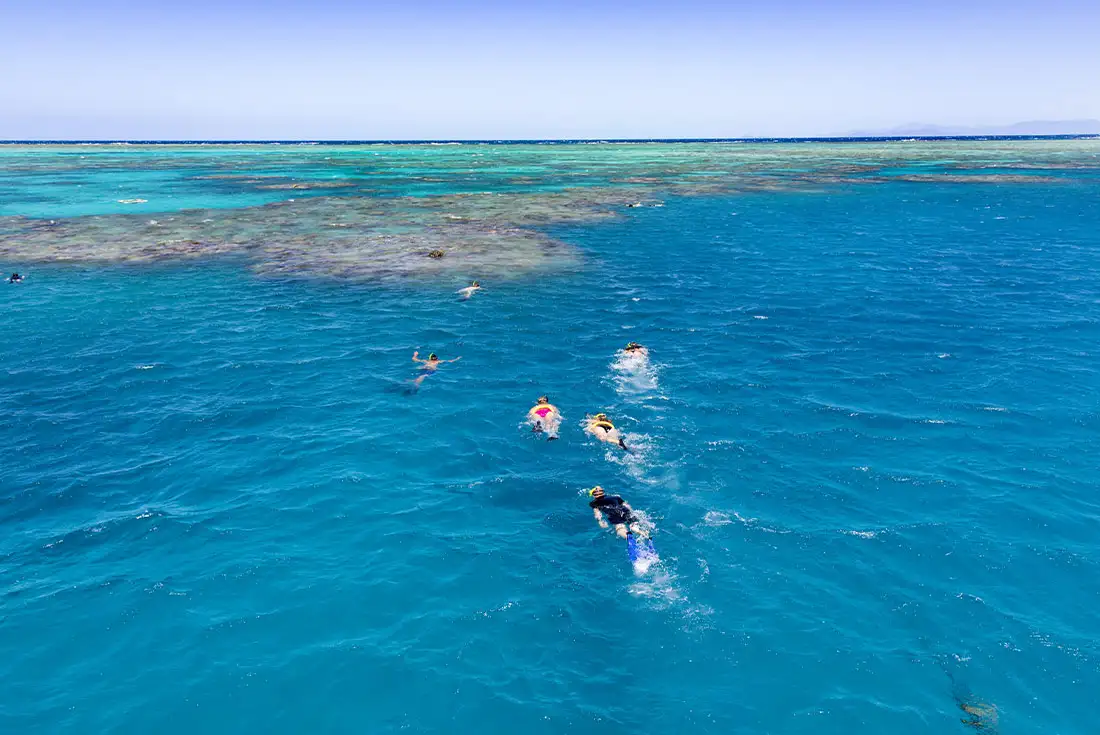 8 Day Daintree & Cape Tribulation Adventure