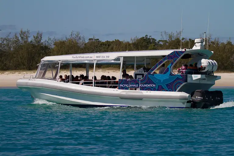 Hervey Bay nature cruise tour