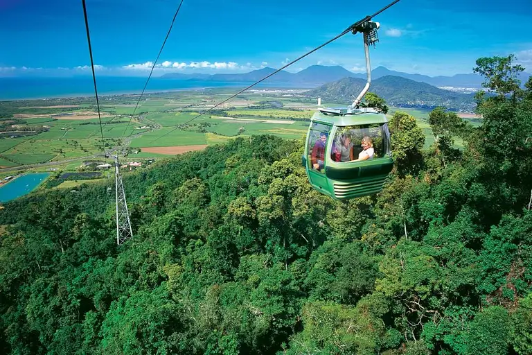Waterfall, wetlands and skyrail tour