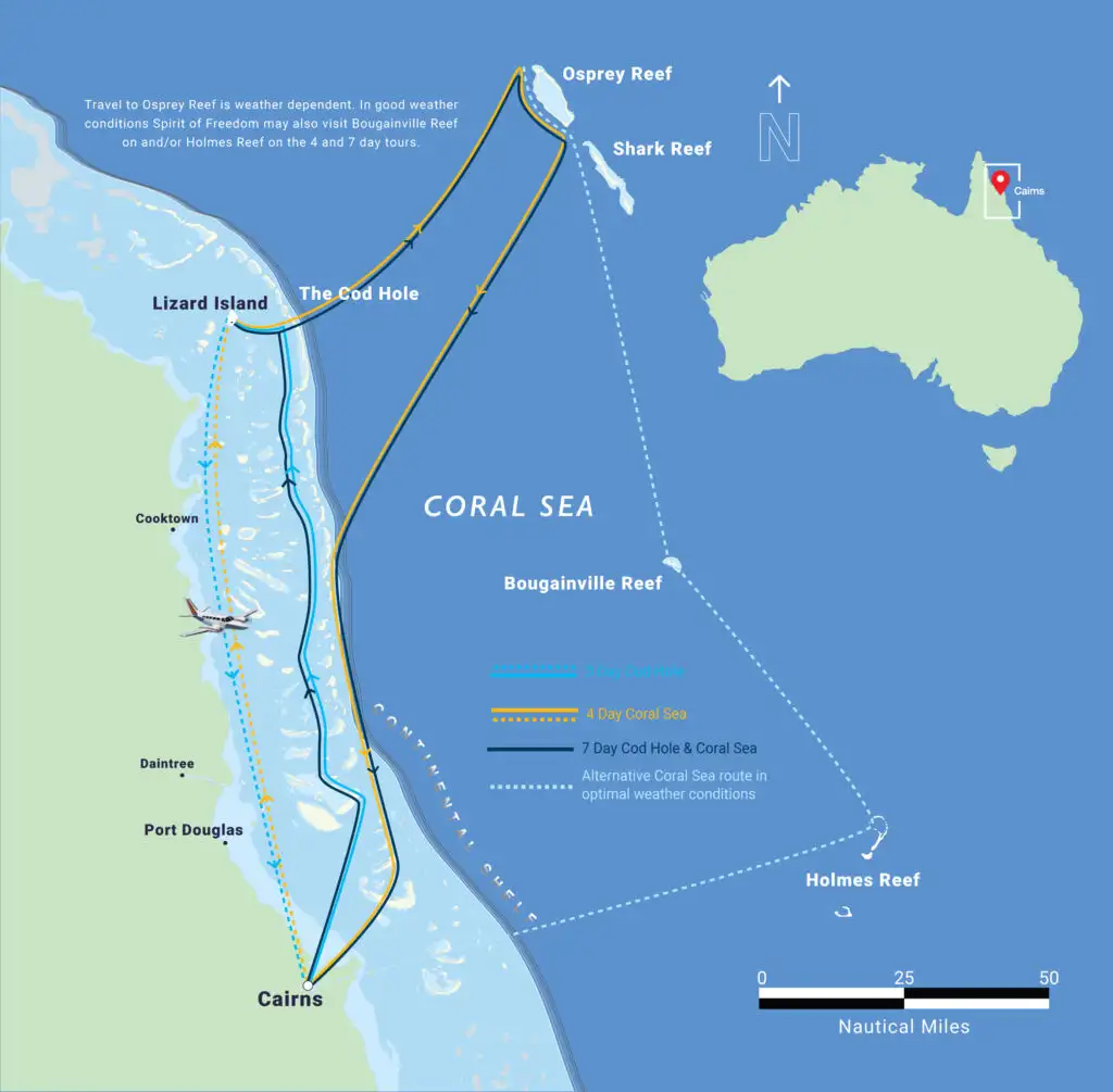 4 Day 4 Night Coral Sea & Ribbon Reefs Adventure | Cairns Liveaboard Dive Tour | Backpacker Deals