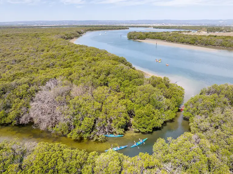 Dolphin Sanctuary Kayak Tour Adelaide