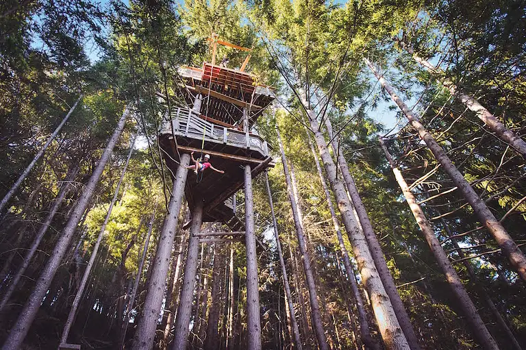 Queenstown Zip Trek Discounts