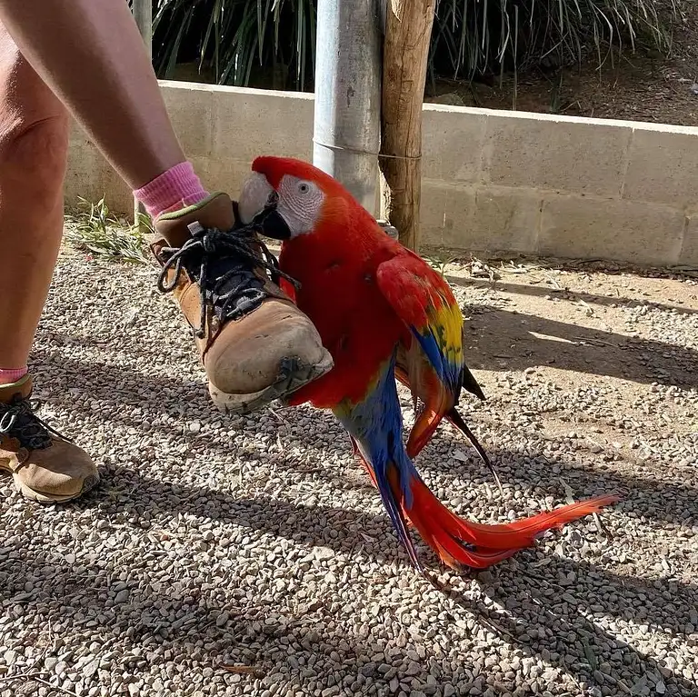 Maleny attractions