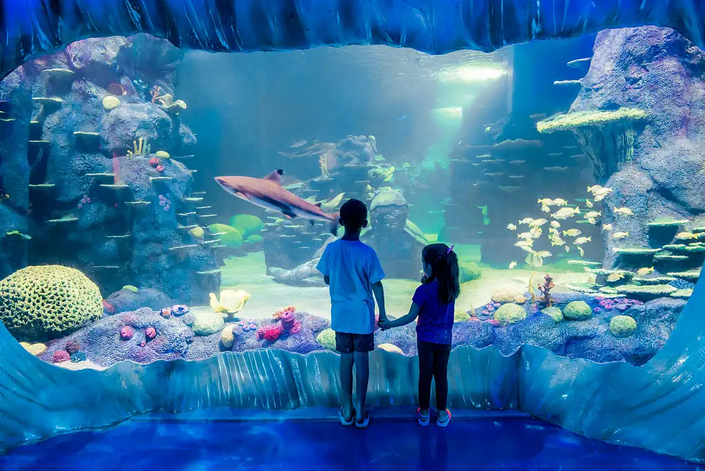 Sea Life Sydney Aquarium Tickets - SEA LIFE general admission