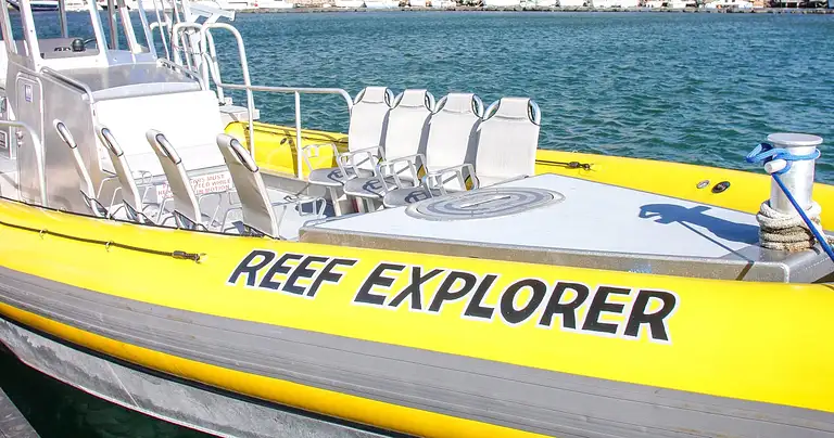 Molokini Crater & Turtle Cove Snorkel Tour Discount
