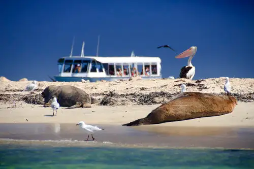 shoalwater islands cruise