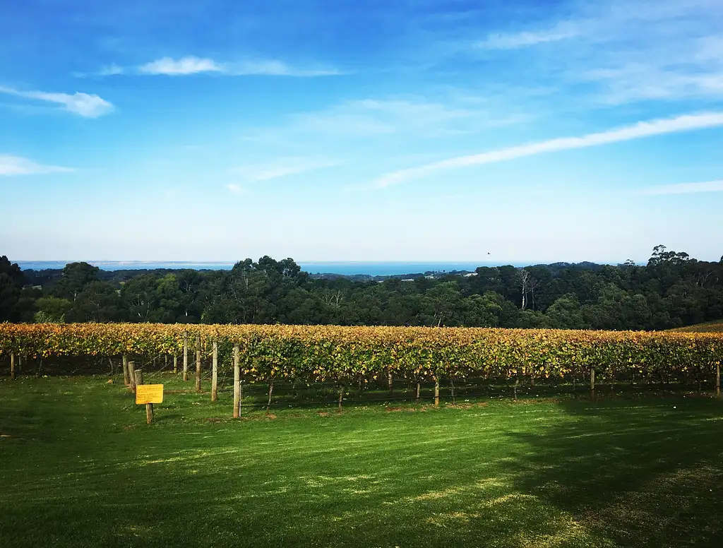 Yarra Valley Wine Tour with Lunch
