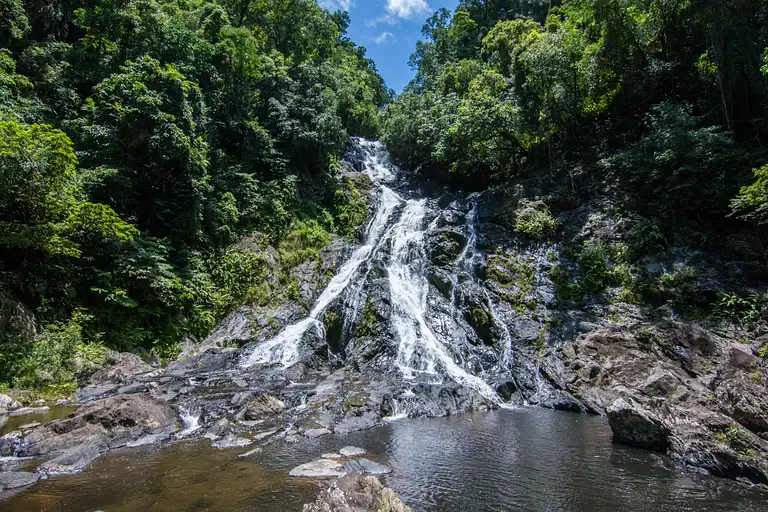 Daintree Exclusive Private Tour Deals