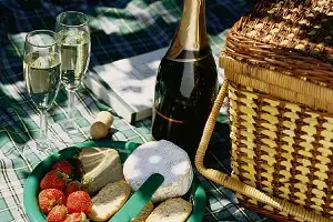 Helicopter Picnic Among the Vines Deals