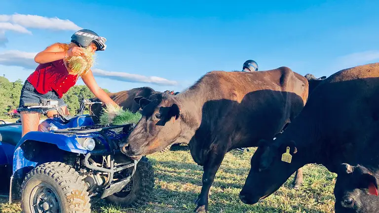 ATV Rainforest Tour
