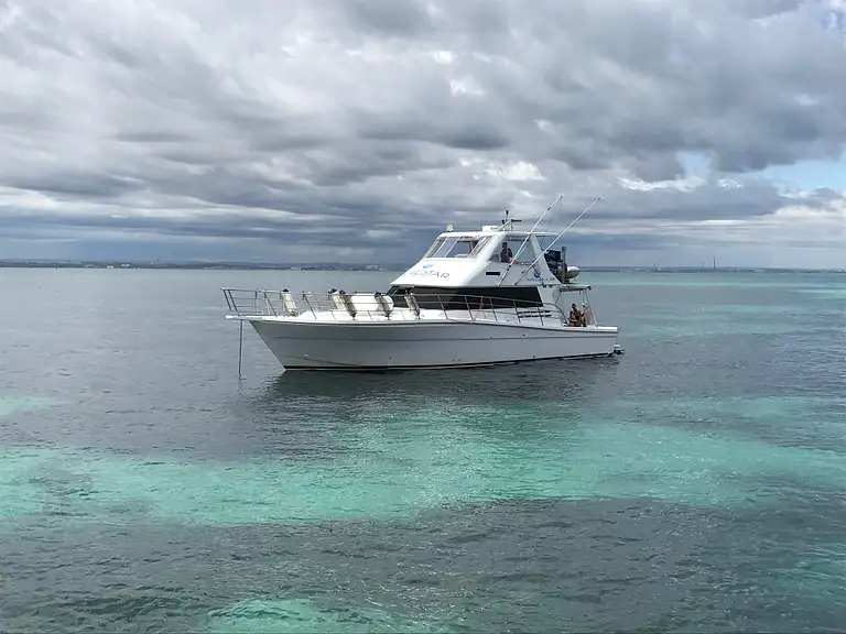 whale tours dunsborough