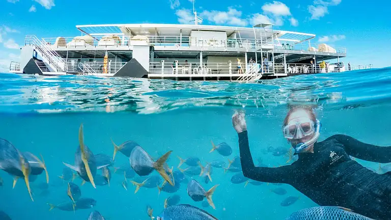 Great Barrier Reef Adventure