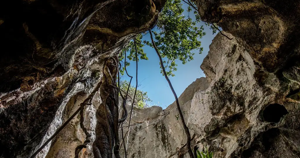 Capricorn Caves Adventure Tours