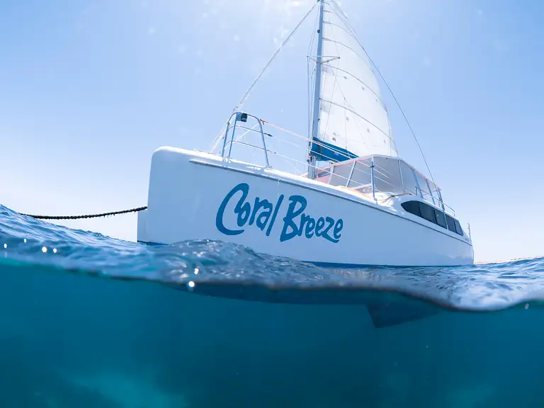 Ningaloo Reef Turtle Snorkelling Adventure