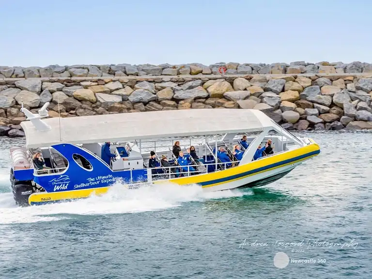 Shellharbour Whale Watching Cruise