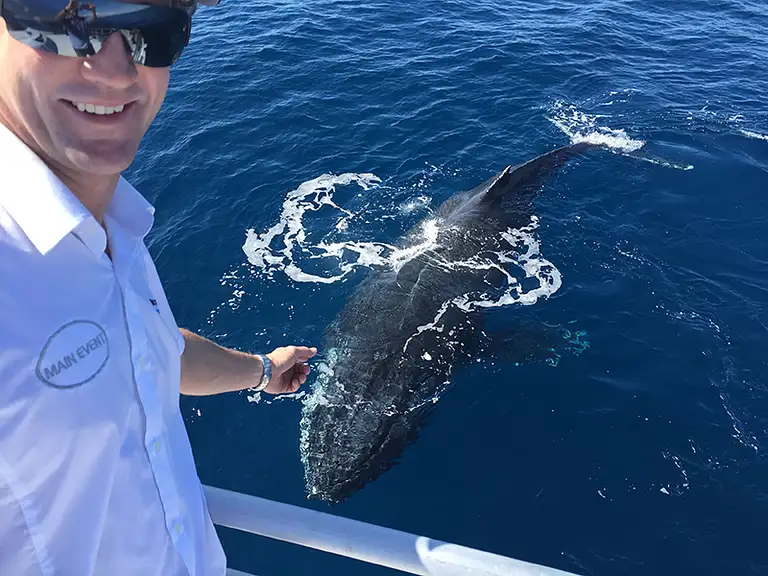 Bundaberg Whale Watching Tour