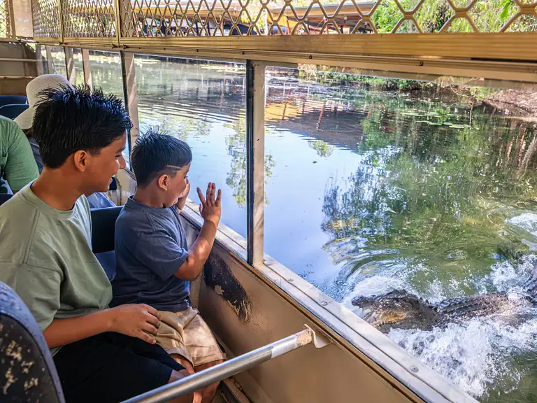 Cairns Hartley’s Crocodile Adventures Wildlife Experience