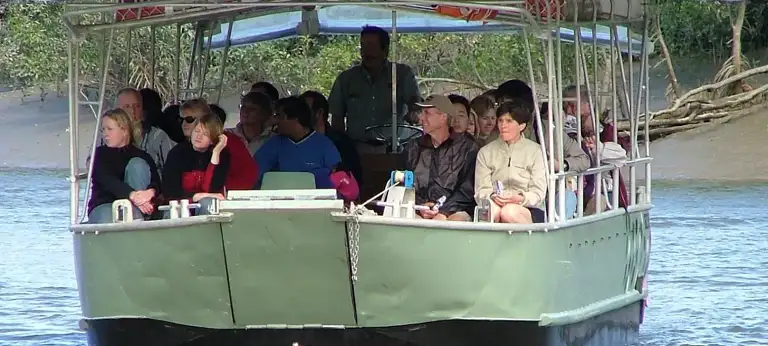 whitsunday crocodile tours