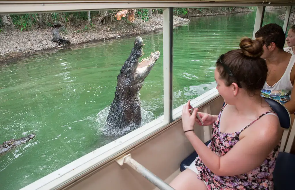 Hartley's Crocodile Adventure