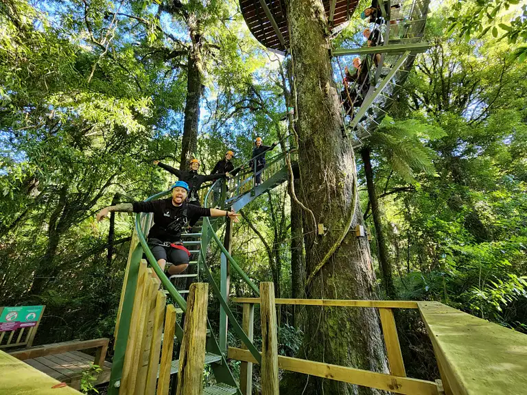 ultimate canopy tour rotorua