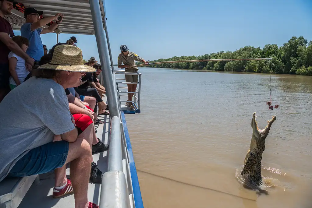 Darwin's Jumping Crocodile Cruise, Aboriginal Art Workshop and Swimming Adventure at Berry Springs Nature Park