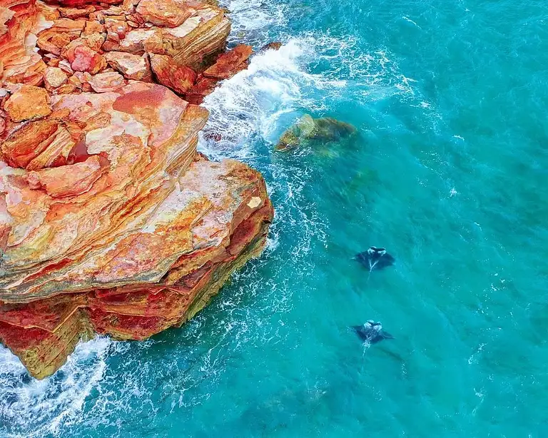 Coral Coast Western Australia Tour