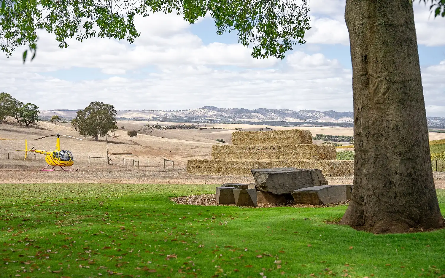 barossa scenic flights